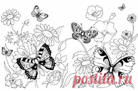 Раскраски Природа. Пейзаж, лес, горы, море, остров
