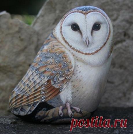 Рисунки на камнях / Здоровый аппетит