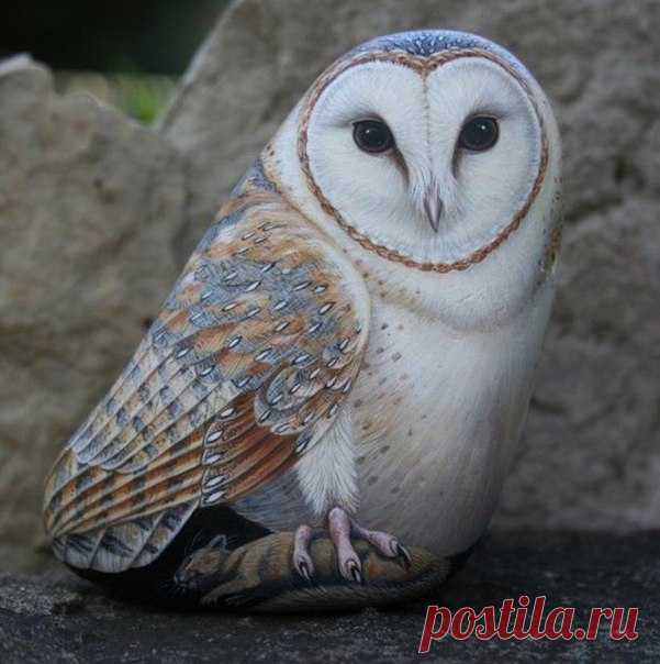 Рисунки на камнях / Здоровый аппетит