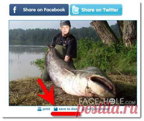 Редактирование фотографий без установки программ (онлайн). - 1 Апреля 2013 - Халявин