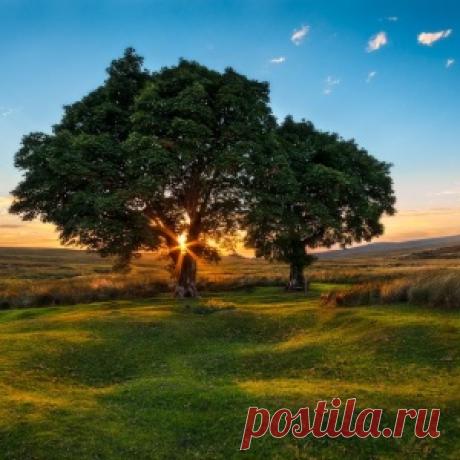 ИСТОЧНИК НАКОПЛЕНИЯ ЛИЧНОЙ СИЛЫ.