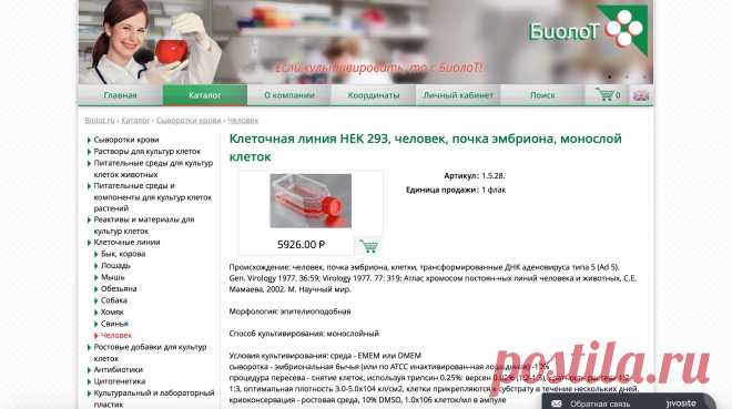 Нерождённые дети - ничего личного, это просто бизнес | Лучшее из сети - Информационный портал Крамола