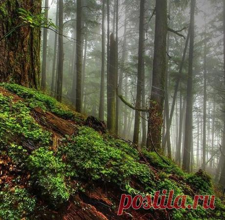 Уникальный сборник ярких, красивых HD фотографий