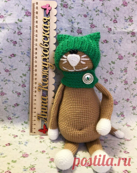 Кот в шапке