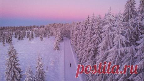 Аудирование для уровней A1-A2 на зимнюю тематику