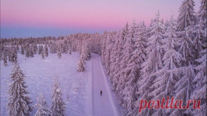 Аудирование для уровней A1-A2 на зимнюю тематику