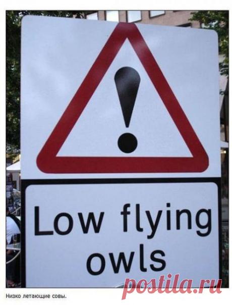 Смешные предупреждающие знаки | Позитив в картинках и не только