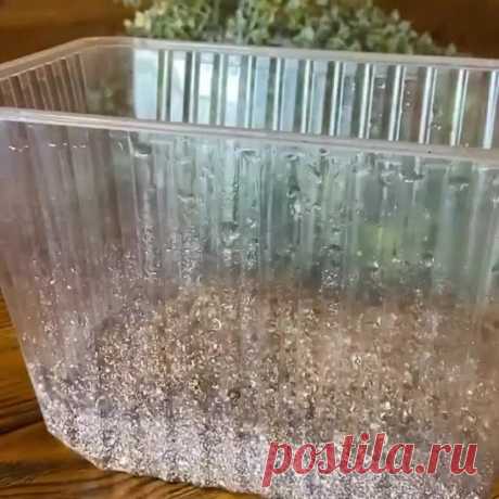ЧТОБЫ ПEРЦЫ НЕ ПОДКАЧАЛИ И ДАЛИ ОГРОМНЫЙ УРОЖAЙ

1. Выращивать перцы нужно только через рассаду и в теплице, только так растения будут крепкие и здоровые.

2. Чтобы рассада развивалась мощной, надо удалять у нее все листья ниже развилки стебля.

3. В возрасте 2 месяцев рассаду нужно пересадить в теплицу. Кустики следует перевалить из стаканчиков вместе с комом земли и обязательно проследить, чтобы корневая шейка не была заглублена в почву, иначе растение захиреет.

4. Чтоб...