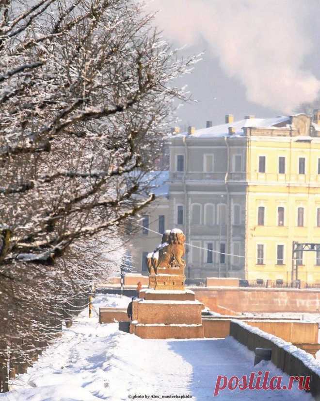 Львы Ши-Цза на Петровской набережной🦁