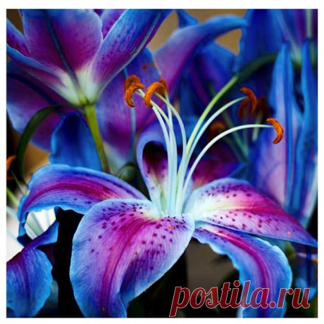 Дневник Любовь_Михайловна