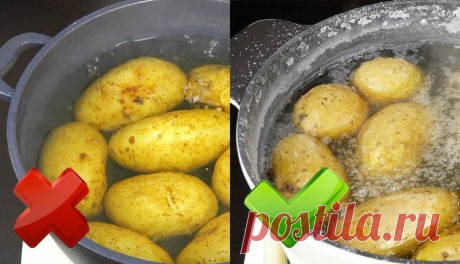 13 Virtuvės Gudrybių, Kurias Ne Visada Žino Net Patyrusios Šeimininkės - Fanpage 1. Kad bekepant bulvės neliptų prie keptuvės dugno bei nesuliptų tarpusavyje, pakaks neilgam palaikyti jas vandenyje, o po to leisti nuvarvėti arba net permirkti. Šitaip tu pašalinsi nereikalingą krakmolą. Papildomas pliusas bus toks, kad produkto kaloringumas sumažės. 2. Jeigu susiruošei virti daržoves būtina atsižvelgti, kam būtent jos bus naudojamos. Jeigu...