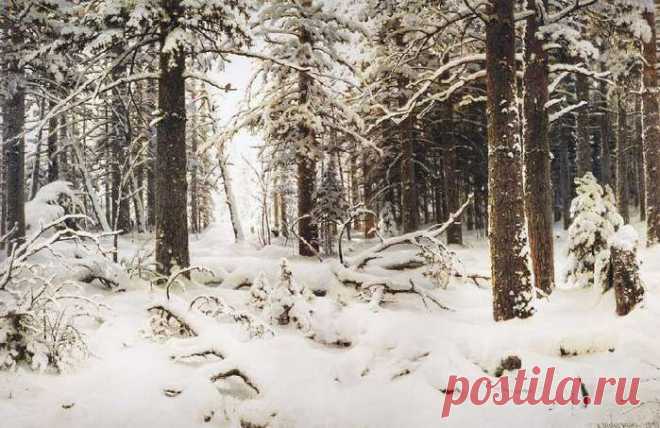 Иван Шишкин. Зима в лесу. Иней. 
1877. Холст, масло. Музей Русского Искусства, Киев, Украина. И.И. Шишкин – не только один из крупнейших, но едва ли не самый популярный среди русских пейзажистов. В этом с ним может соперничать лишь И.К. Айвазовский. Шишкин знал природу "ученым образом" (И.Н. Крамской) и любил ее со всей силой своей могучей натуры. Из этой любви родились образы, которые давно стали своеобразными символами России.
