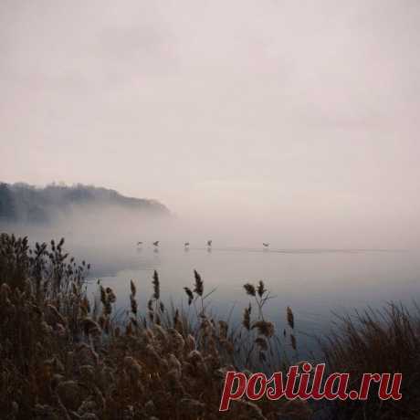 Todd Leussink приколол(а) это к доске Expanses