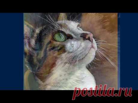 Alex Carter - YouTube