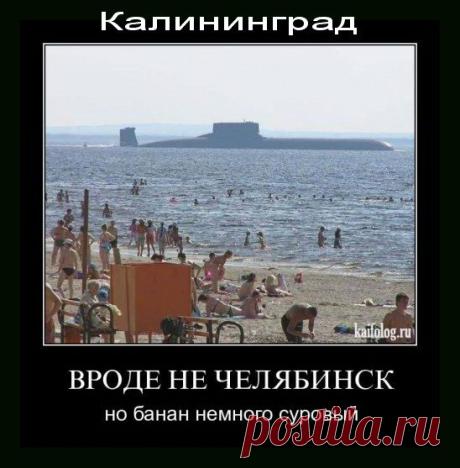 Расслабься, это же Россия!(из рубрики "Картина маслом")