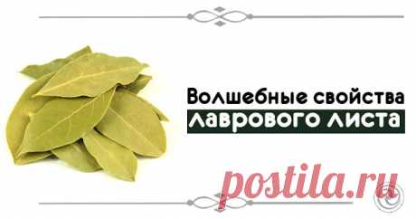 Волшебные свойства лаврового листа 

Волшебные свойства лаврового листа

 
 Напишите желание на лавровом листе, потом киньте его в огонь – и все, что задумали, со временем сбудется.
 
 Разложите по одному лавровому листу в каждом углу …