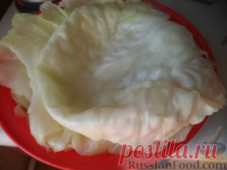 Рецепт: Капуста для голубцов (в микроволновке) на RussianFood.com