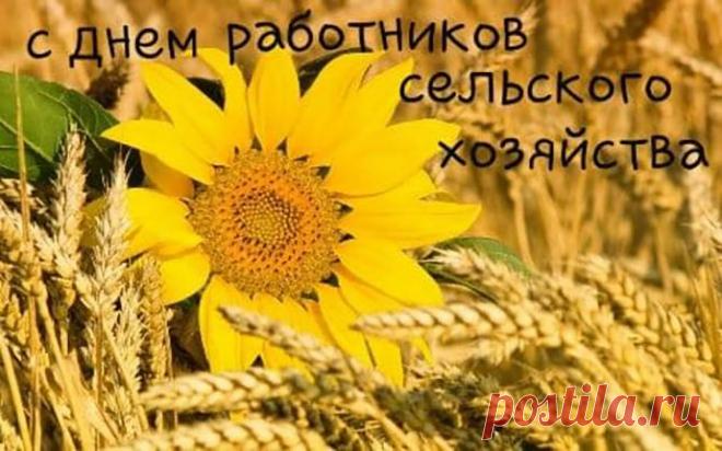 В ваш праздник светлый пусть исполнятся мечты.
Пусть радует земля своей отдачей.
Пусть будет радостно, отрадно на душе.
И всех вам благ, а как еще иначе?!