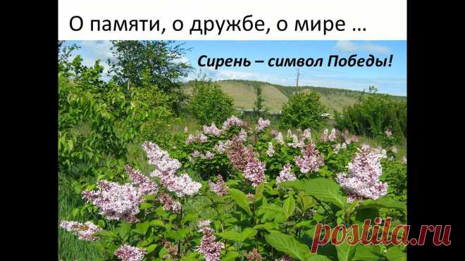 Ботанический сад • Тверь - Публикации