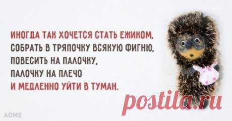 (97) Одноклассники