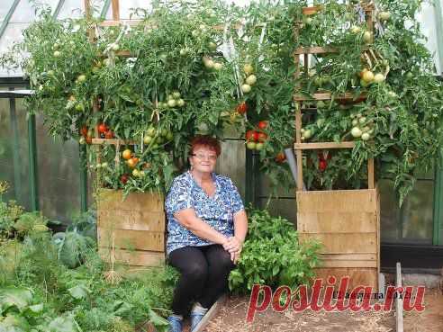 (55) Одноклассники
