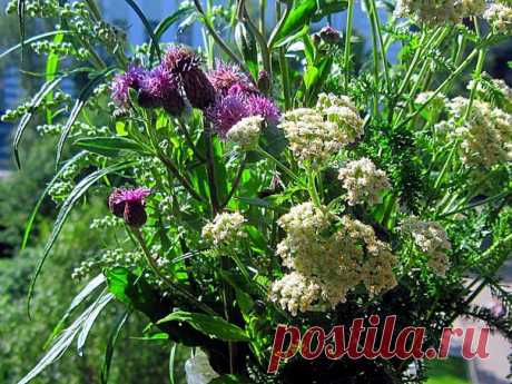 КАКОЙ СЕГОДНЯ ПРАЗДНИК? 2 Августа 2017 г. – Среда • Праздник тормоза • День Воздушно-десантных войск РФ87 лет • День рождения почтового ящика159 лет • День сидения на подоконниках • День оленя в Ненецком автономном округе10 лет • День Эвенкийской природы • День Ангельской Девы - Коста-Рика • День аэромобильных войск - Украина • День национального кино - Азербайджан • Именины у Афанасия, Алексея, Сергея, Ивана, Петра • Ильин день • День Пророка Илии