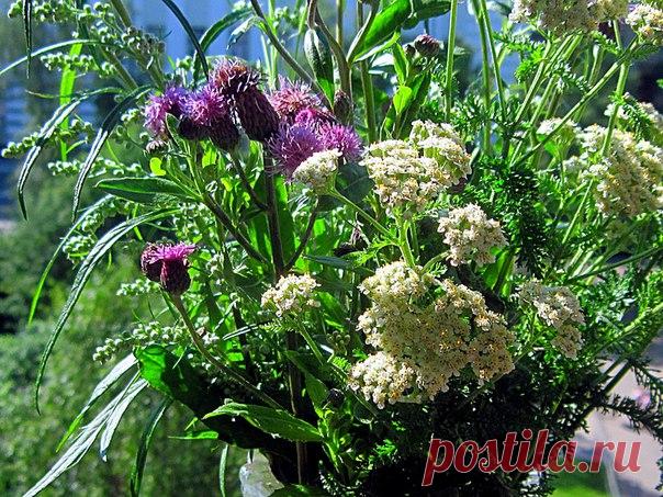 КАКОЙ СЕГОДНЯ ПРАЗДНИК? 2 Августа 2017 г. – Среда • Праздник тормоза • День Воздушно-десантных войск РФ87 лет • День рождения почтового ящика159 лет • День сидения на подоконниках • День оленя в Ненецком автономном округе10 лет • День Эвенкийской природы • День Ангельской Девы - Коста-Рика • День аэромобильных войск - Украина • День национального кино - Азербайджан • Именины у Афанасия, Алексея, Сергея, Ивана, Петра • Ильин день • День Пророка Илии