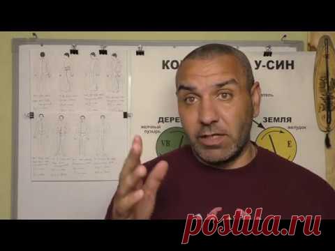 Что контролируют Чудесные Меридианы ?. Видео 2