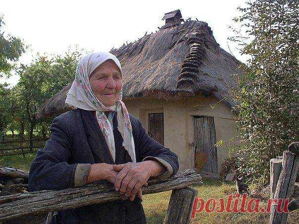 Совсем стара, куда ж теперь ей деться?