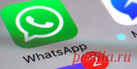 В WhatsApp заработал запрет на добавление в группы - Hi-Tech Mail.ru