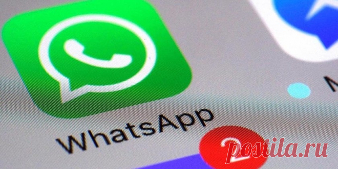 В WhatsApp заработал запрет на добавление в группы - Hi-Tech Mail.ru