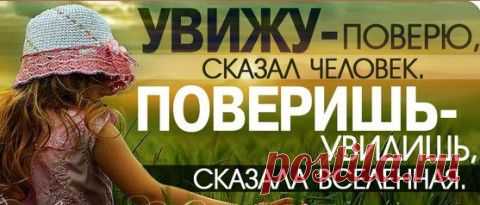 В гостях у Михалыча         М УДРОСТЬ.