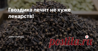 Гвоздика лечит не хуже лекарств! Современная медицина признает, что гвоздика обладает антисептическими, антибактериальными и антимикробными свойствами. Исследователи из Университета Мигеля Эрнандеса выявили, что гвоздика эффективно нейтрализуют свободные радикалы, разрушающие клеточную структуру и ускоряющие старение организма. Чтобы использовать целебную силу гвоздики, испанские исследователи рекомендуют приправлять гвоздикой об