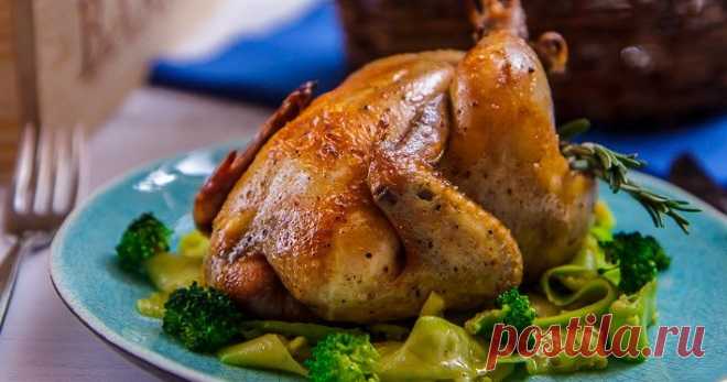 Цыплята корнишоны — оригинальные рецепты вкусных и необычных блюд - Кейс советов