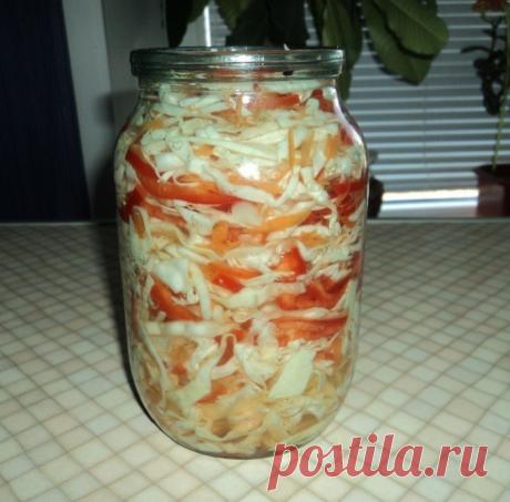 КВАСИМ КАПУСТУ - ЛУЧШИЕ РЕЦЕПТЫ! - Вкусные рецепты 1. Вкуснейшая хрустящая капуста «Пелюстка» — очень просто! Продолжая тему капусты, готовим вкуснейшую маринованную закуску из капусты. Маринуется такая капуста вместе со свеклой,что и придаёт её листочкам не только отличный вкус и аромат,но и красивый розовый цвет. Именно благодаря своему цвету,похожему на цвет лепестков розы, капуста «Пелюстка»и получила своё название. «Пелюстка» в переводе с украинского …