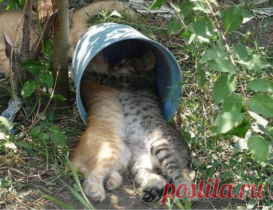 С милым рай - и в шалаше!!!)))