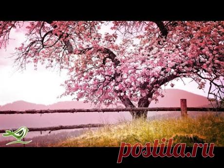 Расслабляющая Фортепианная Музыка - Красивая Расслабляющая Музыка, Музыка Для Сна