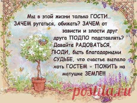 (40) Одноклассники