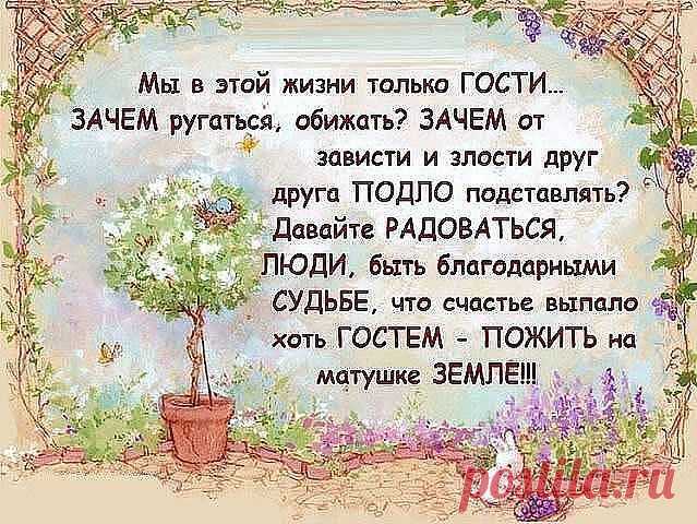 (40) Одноклассники