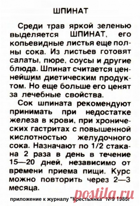Шпинат - лечеьные свойства