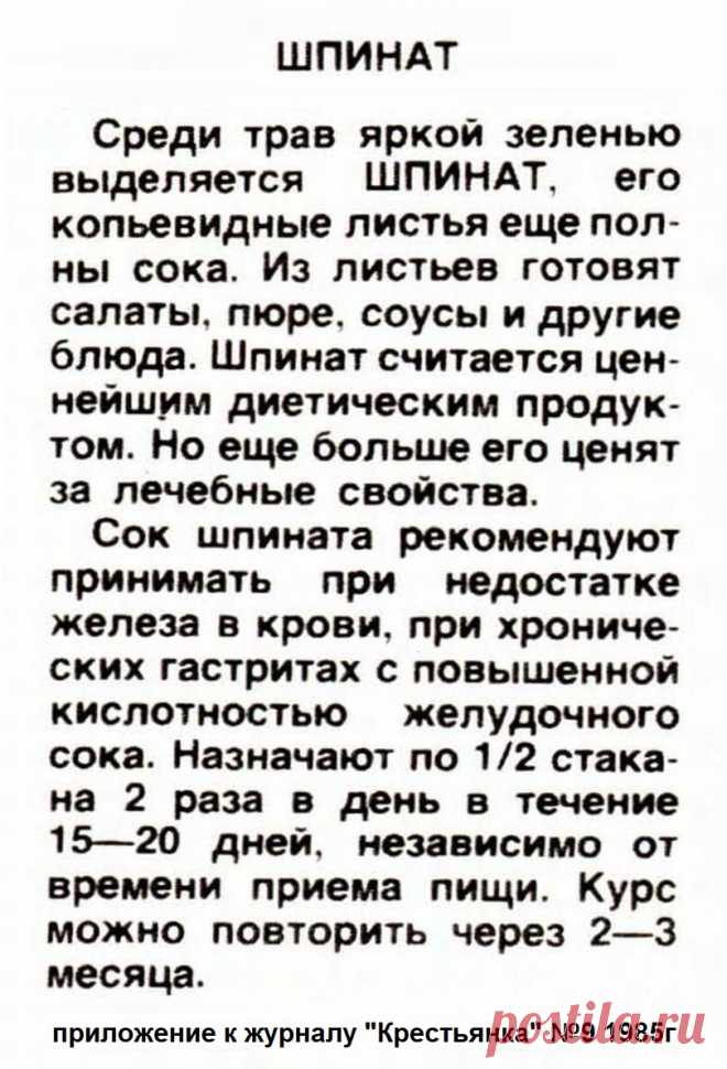 Шпинат - лечеьные свойства