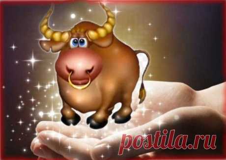 Подарки судьбы для Тельцов: Звёзды «угрожают» зодиаку удачей Благоприятное положение светил поможет решить все проблемы 18&nbsp;февраля. У&nbsp;Тельцов будет весьма удачный день 18&nbsp;февраля. В&nbsp;их&nbsp;созвездие вошёл Уран, который делает зодиака решительным. В&nbsp;том числе прибавляет находчивости