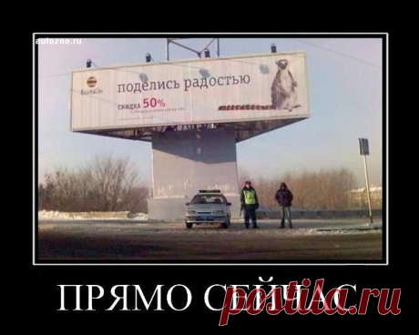18 лучших демотиваторов о транспорте — Дизайн — Релакс!