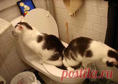 49d1f7ec1b3dca05ab5f75e99003a81f.jpg (450×321)