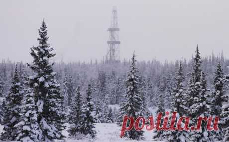 В нефтешахте в Коми произошло задымление. В третьей нефтешахте производственного предприятия «Яреганефть» в Ухте произошло задымление, сообщило региональное ГУ МЧС.