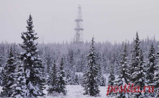 В нефтешахте в Коми произошло задымление. В третьей нефтешахте производственного предприятия «Яреганефть» в Ухте произошло задымление, сообщило региональное ГУ МЧС.
