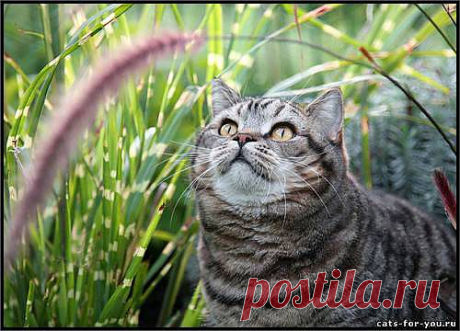 Красотища та кака!!!!!