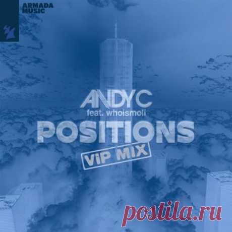 Andy C, whoismoli - Positions (VIP Mix)