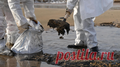 На берегу Анапы на фоне потепления зафиксировали новые выбросы мазута. На берегу Анапы на фоне потепления зафиксировали новые выбросы мазута, которые ранее находились на дне, сообщил губернатор Краснодарского края Вениамин Кондратьев. Читать далее