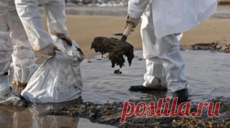 На берегу Анапы на фоне потепления зафиксировали новые выбросы мазута. На берегу Анапы на фоне потепления зафиксировали новые выбросы мазута, которые ранее находились на дне, сообщил губернатор Краснодарского края Вениамин Кондратьев. Читать далее